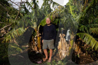 They're 600km off the coast, but farmers on Lord Howe Island say 'we can't compete with Woolworths'