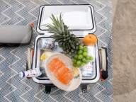 Backpack portable fridge for the great outdoors