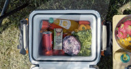 Backpack portable fridge for the great outdoors