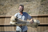 Mammoth bones found on river bank in Ukraine