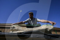 Mammoth bones found on river bank in Ukraine