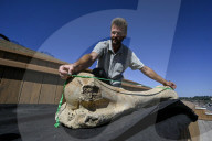Mammoth bones found on river bank in Ukraine