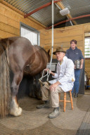 Clean and bright or cloying and musky? Horse milk ice-cream taste test.