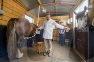 Clean and bright or cloying and musky? Horse milk ice-cream taste test.