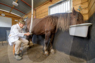 Clean and bright or cloying and musky? Horse milk ice-cream taste test.