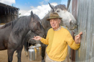 Clean and bright or cloying and musky? Horse milk ice-cream taste test.