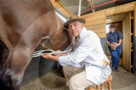 Clean and bright or cloying and musky? Horse milk ice-cream taste test.