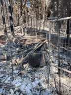 'I see what the fire may do': the college student documenting wildfires from the frontlines