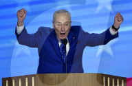 2024 Democratic National Convention