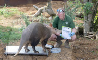 ZSL Whipsnade Zoo’s 10,000 animals step up for their annual weigh-in at the UK’s largest Zoo, near Dunstable, Bedfordshire, UK.