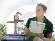 ZSL Whipsnade Zoo’s 10,000 animals step up for their annual weigh-in at the UK’s largest Zoo, near Dunstable, Bedfordshire, UK.
