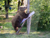 ZSL Whipsnade Zoo’s 10,000 animals step up for their annual weigh-in at the UK’s largest Zoo, near Dunstable, Bedfordshire, UK.