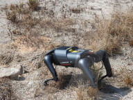 Pest detecting robot dog