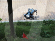 Pest detecting robot dog