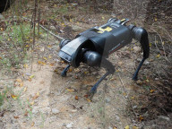 Pest detecting robot dog