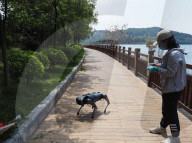 Pest detecting robot dog