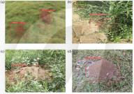 Pest detecting robot dog