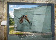 FEATURE - SN_BARN_SWALLOW_DOOR_02