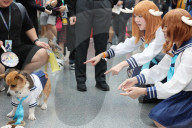 FEATURE - Cosplayer treffen sich auf der Anime in NYC