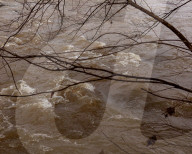 A town's water is contaminated with 'forever chemicals' - how did it get this bad?
PFAS contamination in tap water in Pittsboro.