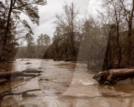 A town's water is contaminated with 'forever chemicals' - how did it get this bad?
PFAS contamination in tap water in Pittsboro.
