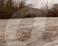 A town's water is contaminated with 'forever chemicals' - how did it get this bad?
PFAS contamination in tap water in Pittsboro.