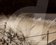 A town's water is contaminated with 'forever chemicals' - how did it get this bad?
PFAS contamination in tap water in Pittsboro.