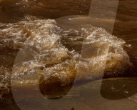 A town's water is contaminated with 'forever chemicals' - how did it get this bad?
PFAS contamination in tap water in Pittsboro.