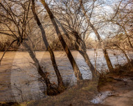 A town's water is contaminated with 'forever chemicals' - how did it get this bad?
PFAS contamination in tap water in Pittsboro.