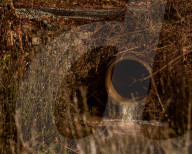 A town's water is contaminated with 'forever chemicals' - how did it get this bad?
PFAS contamination in tap water in Pittsboro.