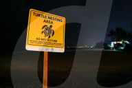 'It's nice to help a life to live': meet Sri Lanka's turtle guardians 