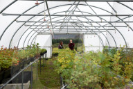 Michael Shanks visits Isle of Eigg Community Energy Project