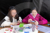 Pretty in pink: Sydney Cherry Blossom festival 2024