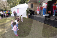 Pretty in pink: Sydney Cherry Blossom festival 2024
