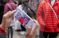 Pretty in pink: Sydney Cherry Blossom festival 2024