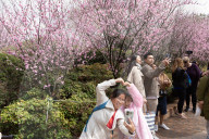Pretty in pink: Sydney Cherry Blossom festival 2024