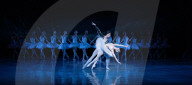 State Ballet of Georgia Swan Lake at the Coliseum, London, UK.