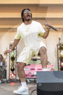 Chicago Lollapalooza Music Festival 2019