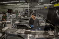 California seeks to do away with "factory farming"