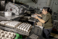California seeks to do away with "factory farming"