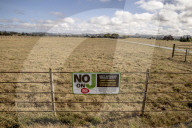 California seeks to do away with "factory farming"