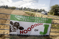 California seeks to do away with "factory farming"