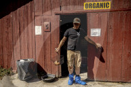 California seeks to do away with "factory farming"