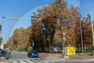 Milano - Foglie secche ad agosto