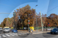 Milano - Foglie secche ad agosto