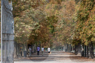 Milano - Foglie secche ad agosto