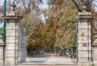 Milano - Foglie secche ad agosto