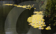 The Great Thatcham Duck Race