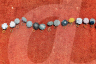 FEATURE - SN_RED_CHILLIS_01