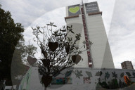Police under pressure to accelerate criminal investigation into Grenfell fire